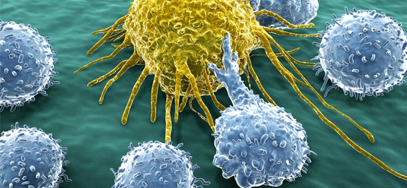 rák immunterápia vagyis