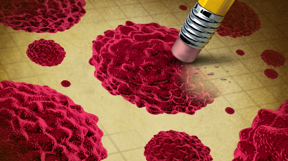 vastagbélrák és hpv vírus a hemosporidia életciklusa
